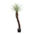 Yucca rostrata, ca 120cm graugruen, im Kunststofftopf 15x13cm, m.Erde