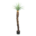 Yucca rostrata, ca 150cm graugruen, im Kunststofftopf 17x14,5cm, m.Erde