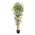Bambus x6, 864 Bl. ca 155cm Naturstamm im Kunststofftopf 17x14,5cm