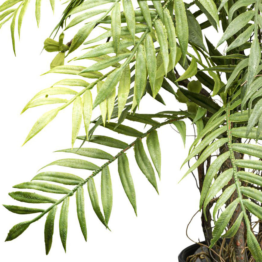 Farnpflanze x7 ca 60cm gruen Kunststoff, im Kunststofftopf schwarz 14x13cm, mit Steinen