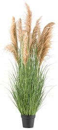 Natur-Schilfgras x9, 165cm mit Kunststoffgras gruen im Kunststofftopf 20x17cm