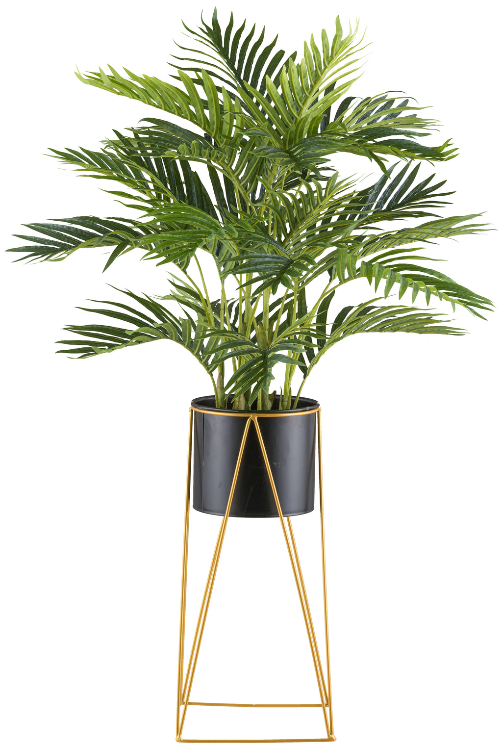 Kentiapalme x24, ca 110cm, gruen im Metalltopf 19x16cm mit Erde, auf Metallstaender 49cm