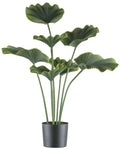 Strahlenpalme x7, 100cm gruen, im Kunststofftopf 19,5x17,5cm schwarz