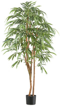 Ficus longifolia x2, 170cm, 798 Blaetter, gruen, Naturstamm im Kunststofftopf 17x14,5cm