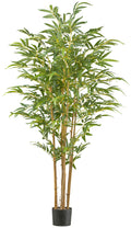 Bambus x7, 180cm, 830 Blaetter Naturstamm, UV-bestaendig im Kunststofftopf 18x15cm