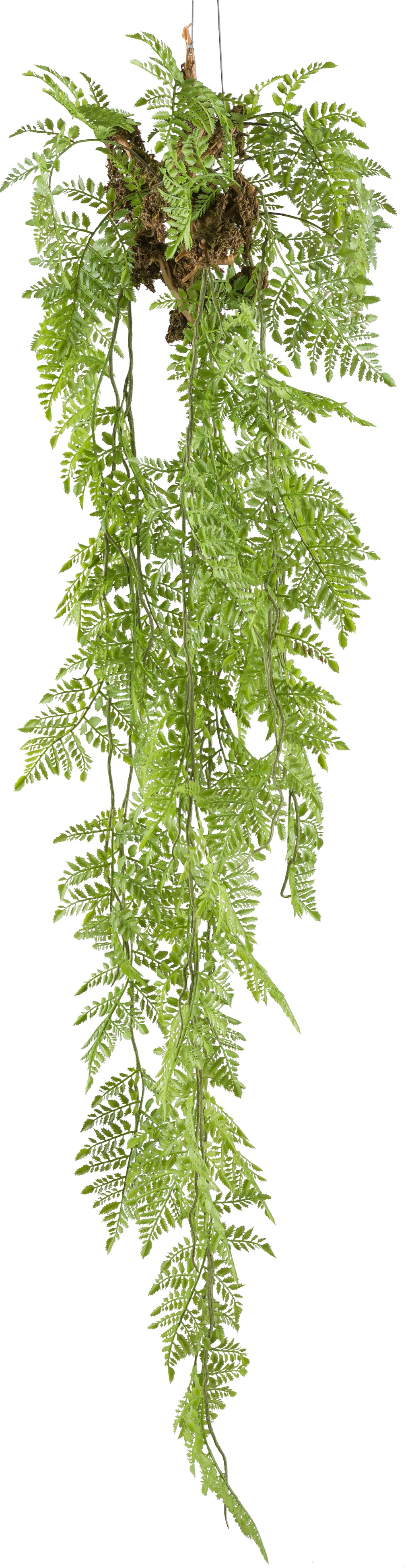 Farnhaenger, ca 145cm gruen inkl. Metallhaken