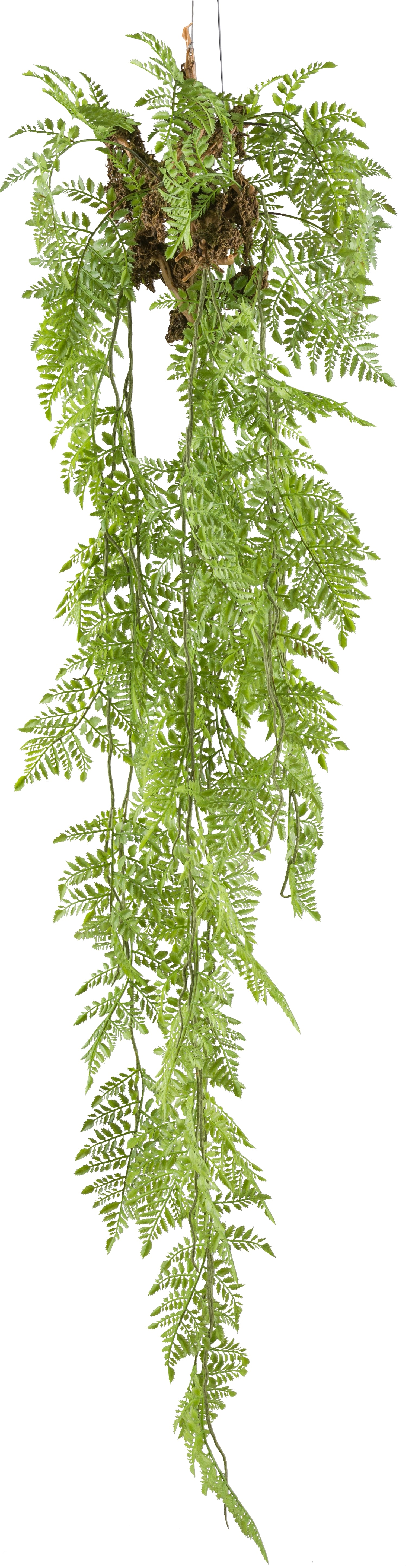 Farnhaenger, ca 145cm gruen inkl. Metallhaken
