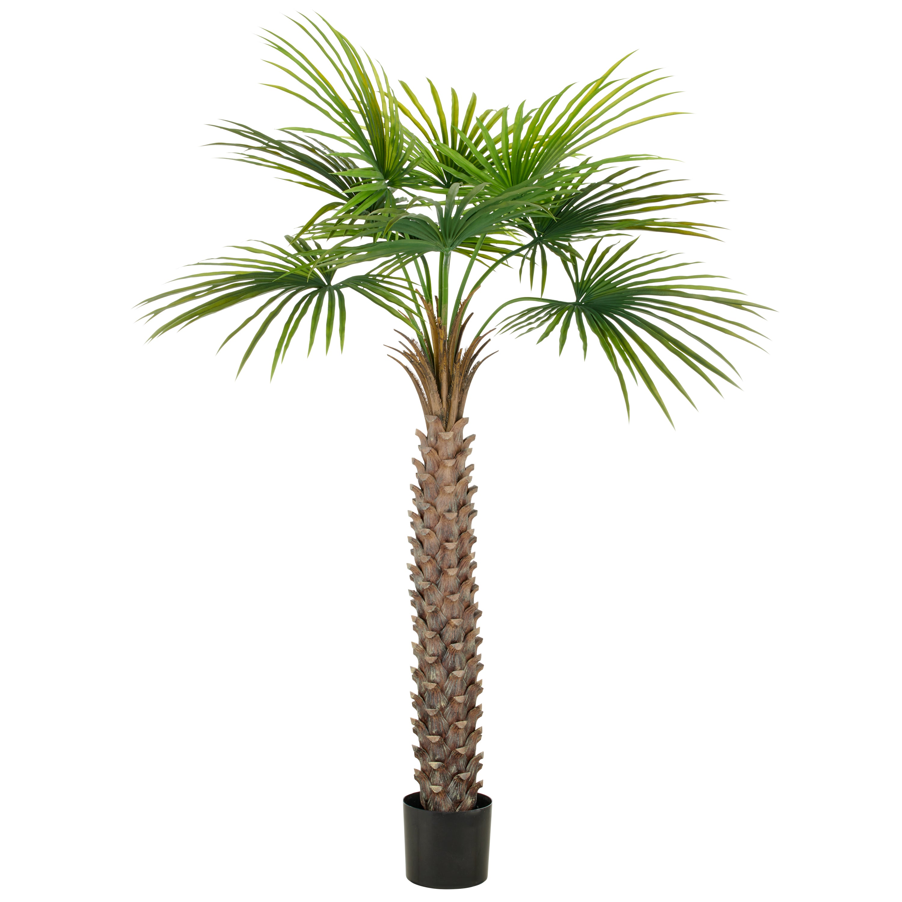 Faecherpalme x9, 175cm, gruen, im Kunststofftopf 19x17,5cm, UV-bestaendig, (k.d.p.)