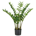 Zamifolia x7, 116 Bl. aus PEVA, 70cm, gruen, im Topf D15x13cm