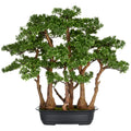 Bonsai Teeblatt x7, 60x60cm, gruen, in schwarzer Kunststoffschale 33x23x8cm