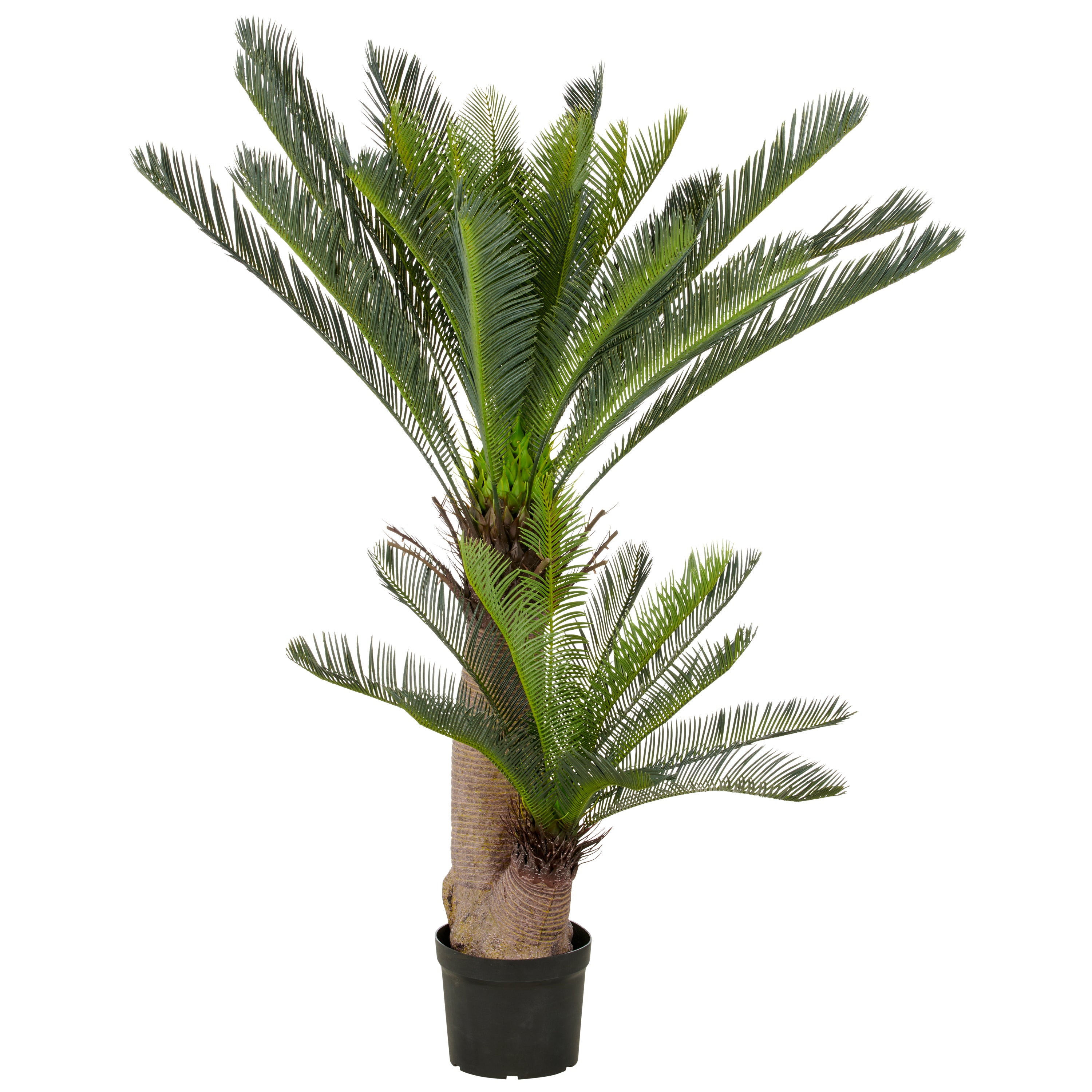 Cycaspalme x2, 42 Bl., 145cm, gruen, im Kunststofftopf 23x18cm, UV-bestaendig