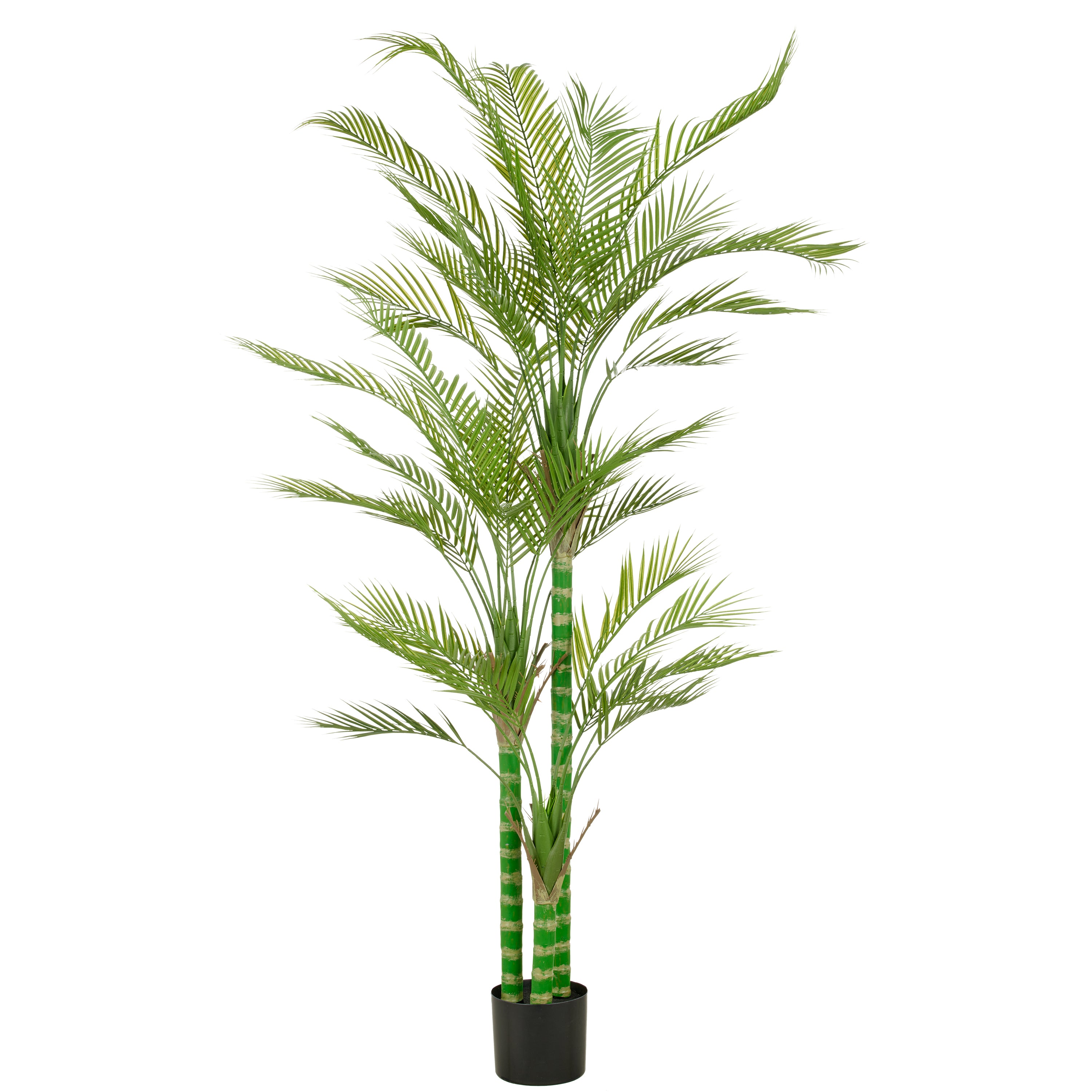 Arecapalme x3, ca 180cm, gruen, im Kunststofftopf 17x14,5cm, UV-bestaendig