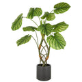 Philodendron mamei x10, ca. 120cm, gruen, Kunststoff, im grauen Kunststofftopf 21,5x22cm mit Erde