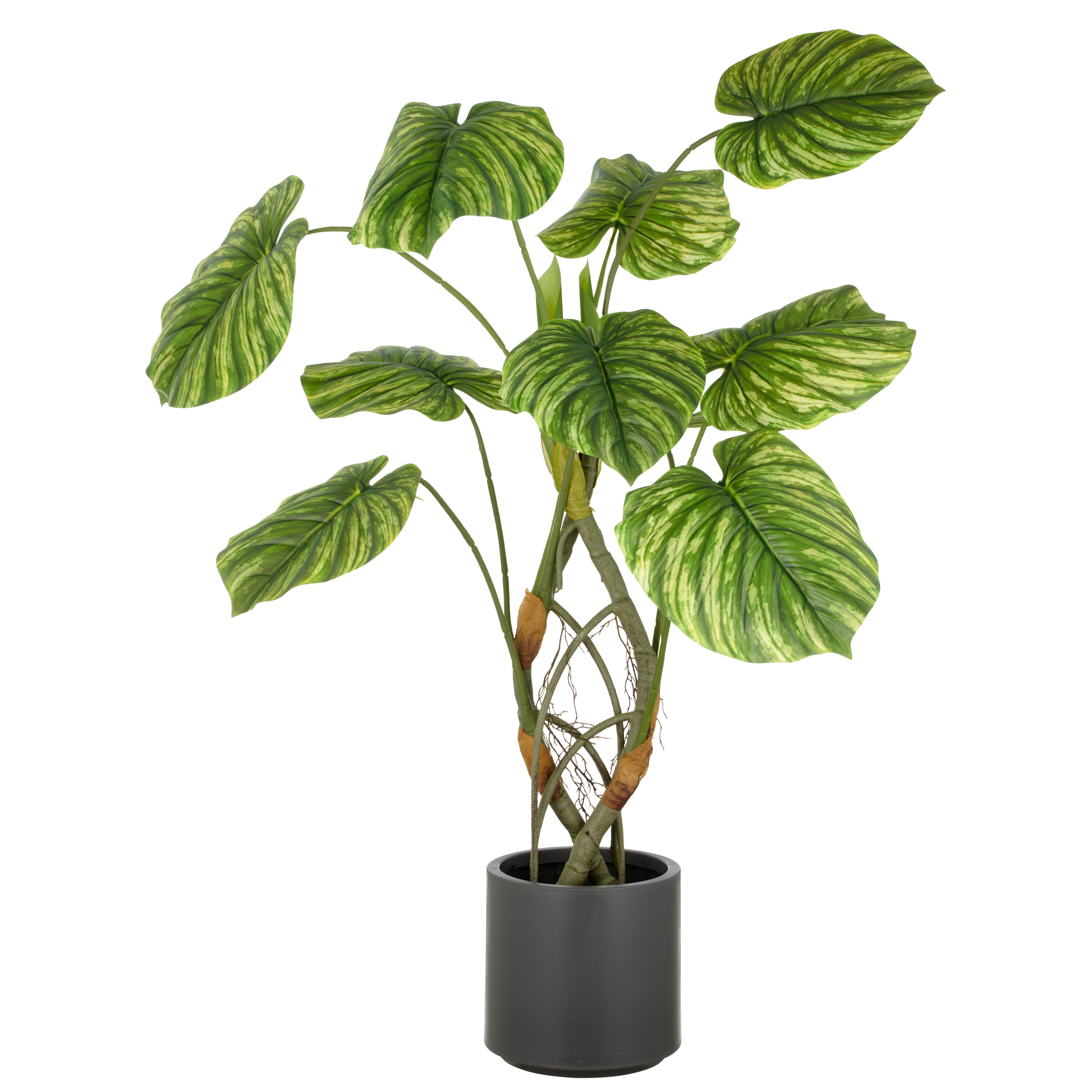 Philodendron mamei x10, ca. 120cm, gruen, Kunststoff, im grauen Kunststofftopf 21,5x22cm mit Erde