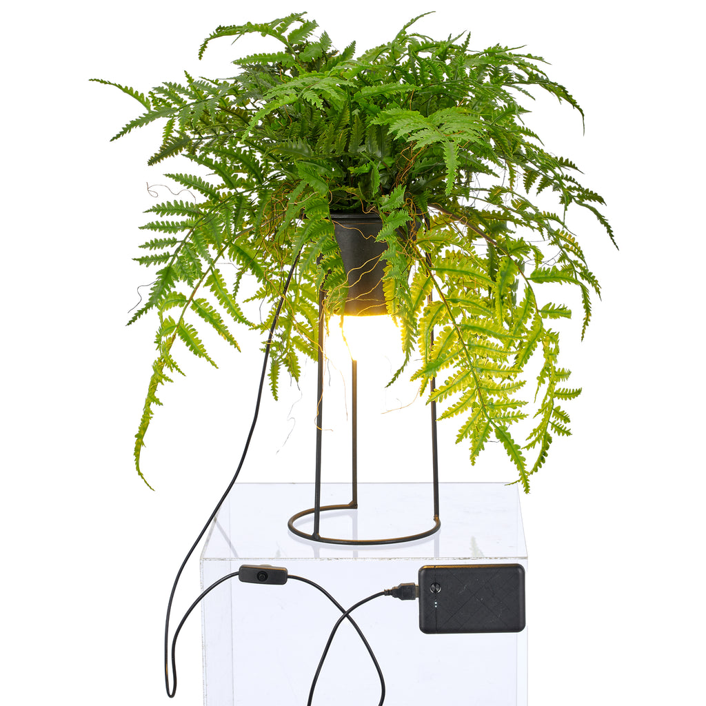 Dekostandleuchte Farnmix, ca. 60cm, gruen, auf Metallgestell rund 30x14cm, LED, 1,5m Kabel m. Stecker