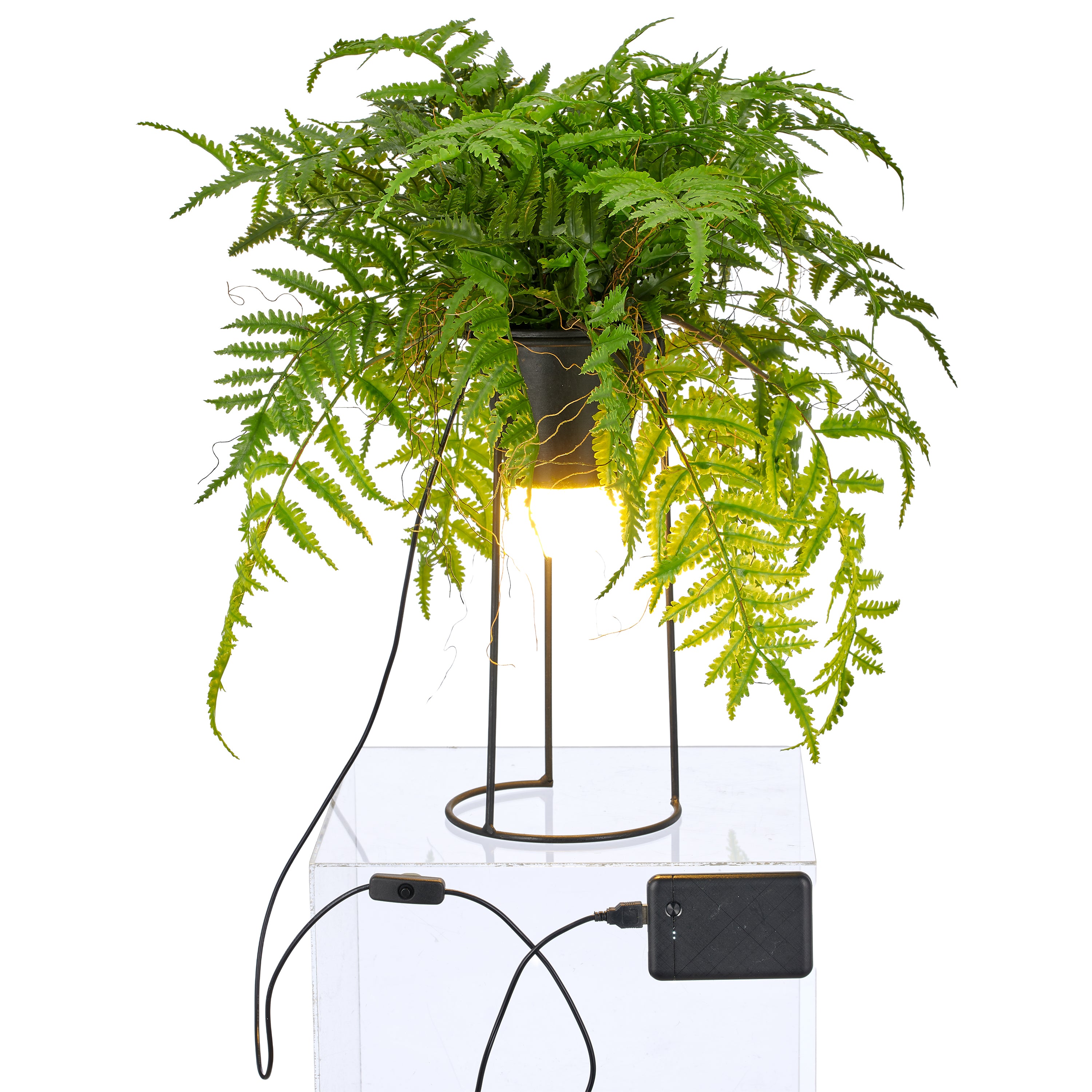 Dekostandleuchte Farnmix, ca. 60cm, gruen, auf Metallgestell rund 30x14cm, LED, 1,5m Kabel m. Stecker