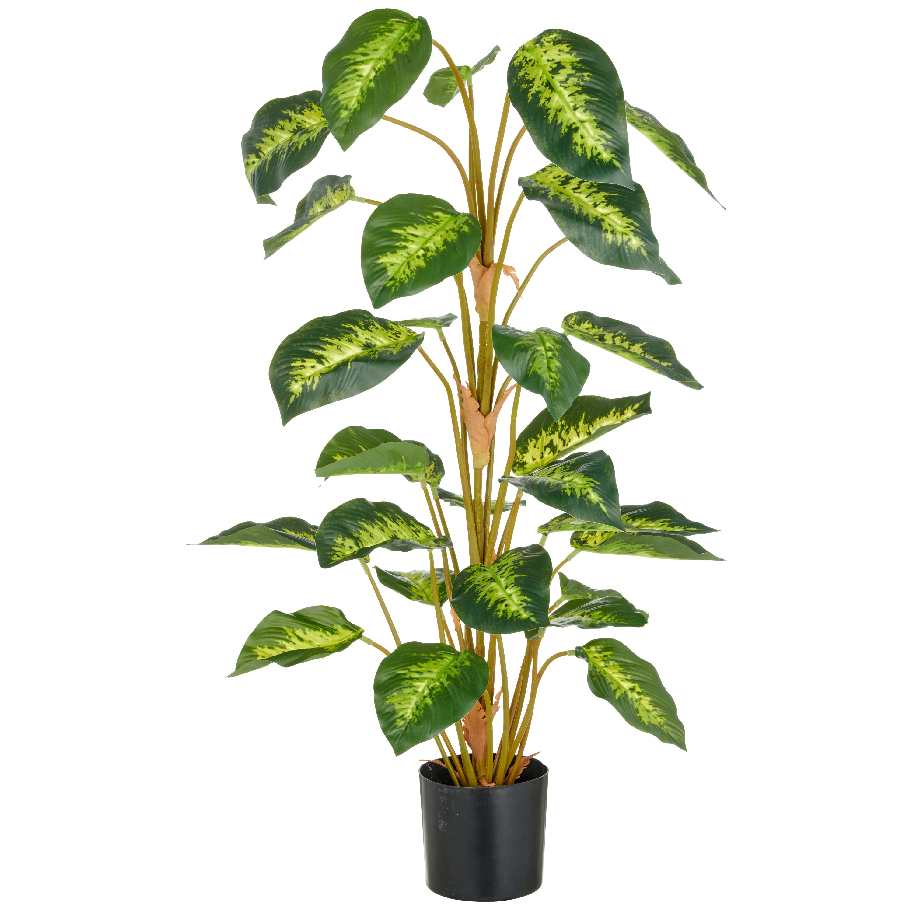 Dieffenbachia reeva, 90cm, 29 Bl., gruen, im Kunststofftopf 12,5x11,5cm