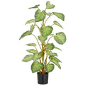 Syngonium, 29 Blaetter, 90cm, gruen, im Kunststofftopf 12,5x11,5cm