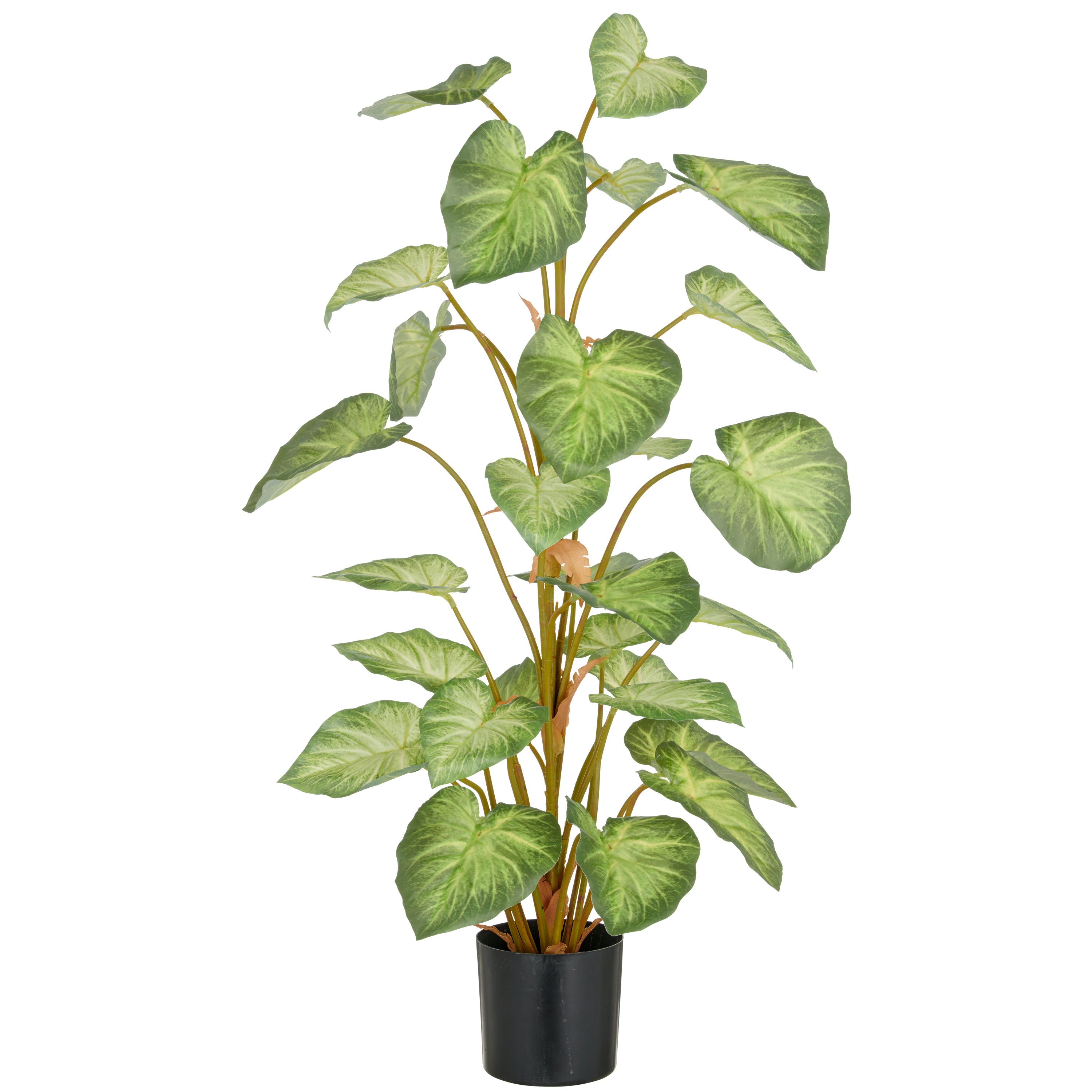 Syngonium, 29 Blaetter, 90cm, gruen, im Kunststofftopf 12,5x11,5cm