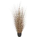 Miscanthus strictus, 140cm, creme-braun, im Kunststofftopf 18x16,5cm