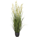 Gras-Mix-Busch, 120cm, gruen, im Kunststofftopf 16x15cm