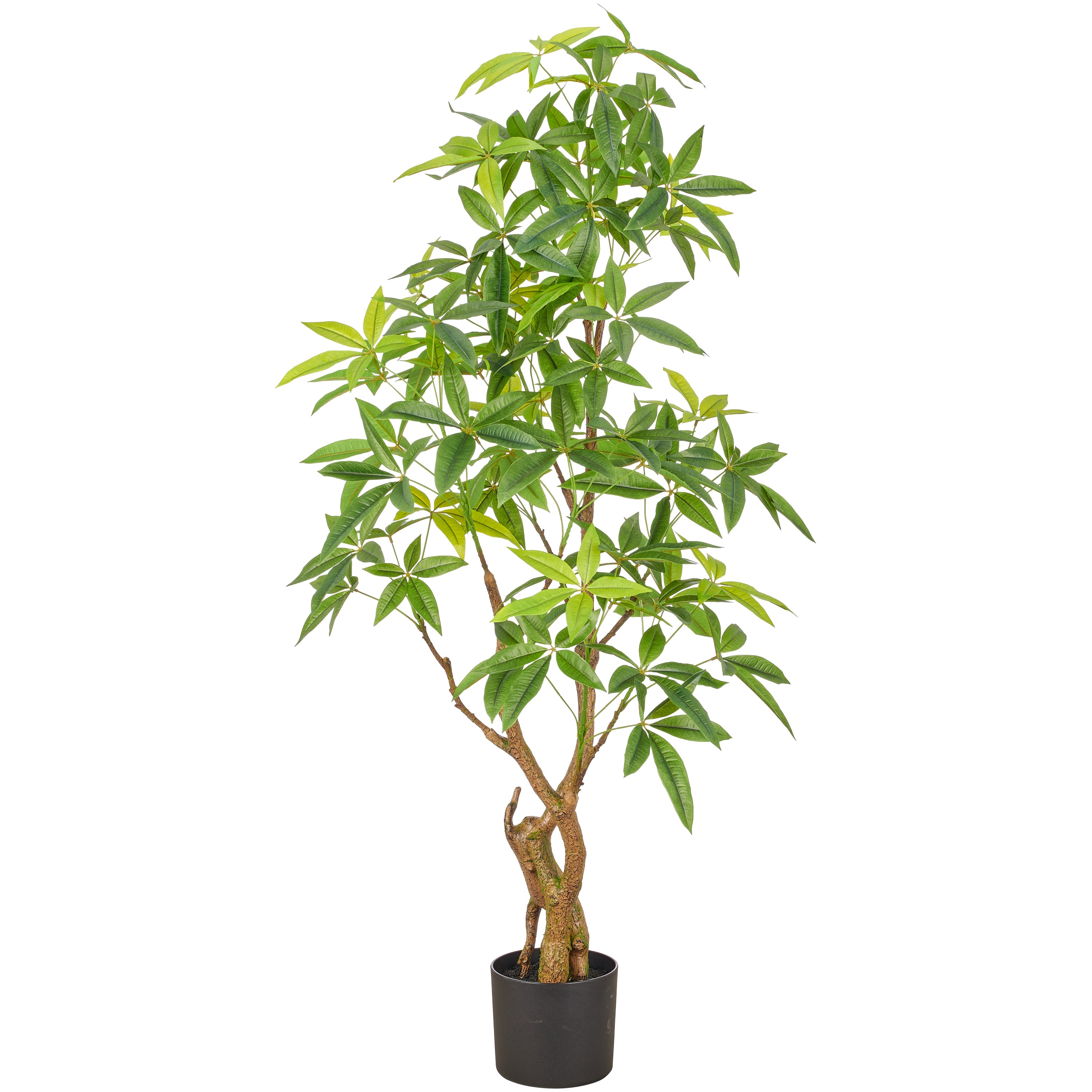 Pachira x2, 360 Bl., 140cm, gruen, Kunststoff, im Kunststofftopf 17x14,5cm