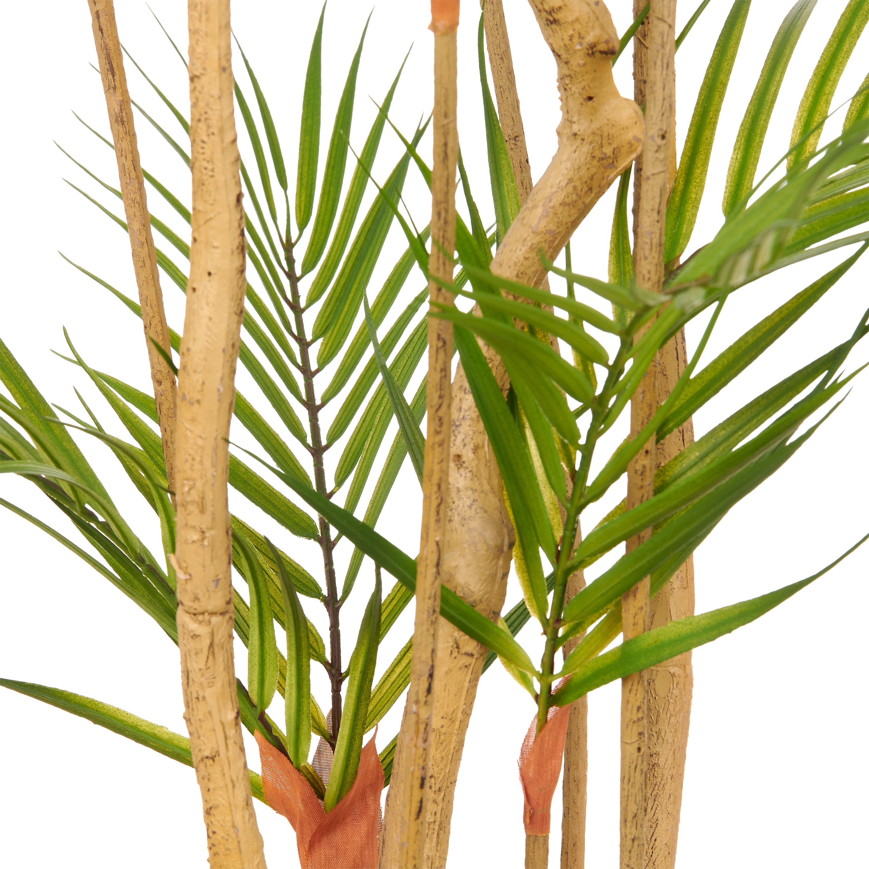 Goldfruchtpalme x8, 160cm, gruen, im Kunststofftopf 18x14cm mit Erde