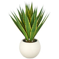 Agave americana 'Marginata' , 85cm, gruen-gelb, im Kunststofftopf creme 33x26cm