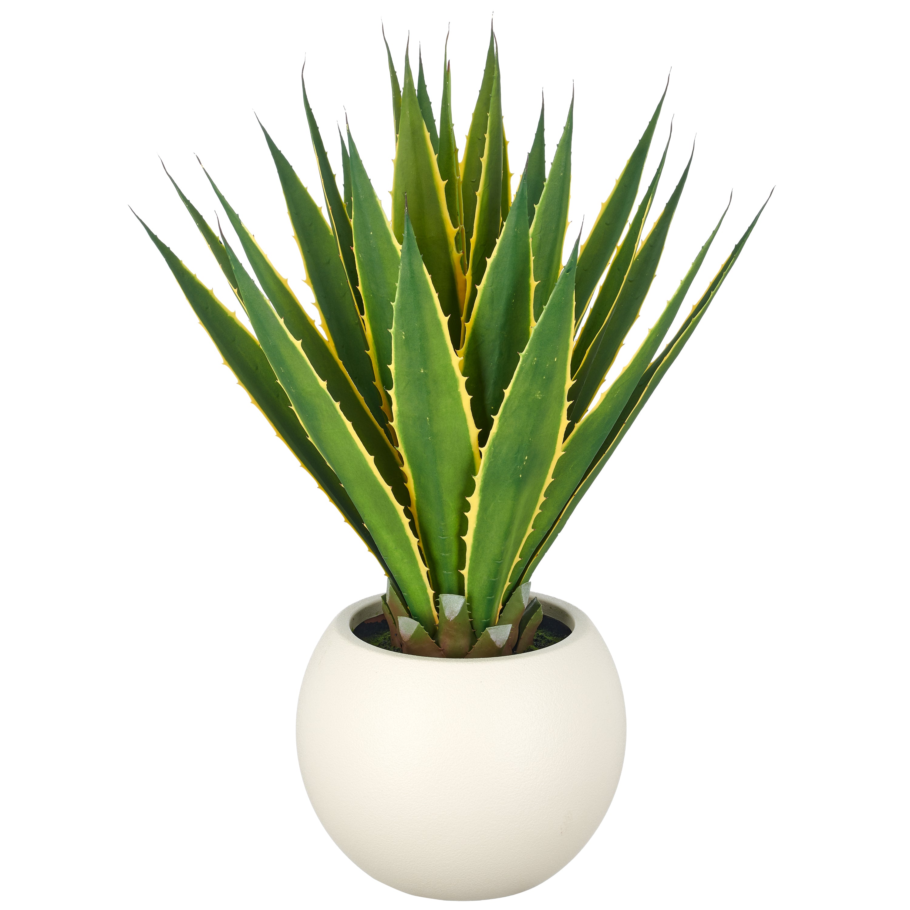 Agave americana 'Marginata' , 85cm, gruen-gelb, im Kunststofftopf creme 33x26cm