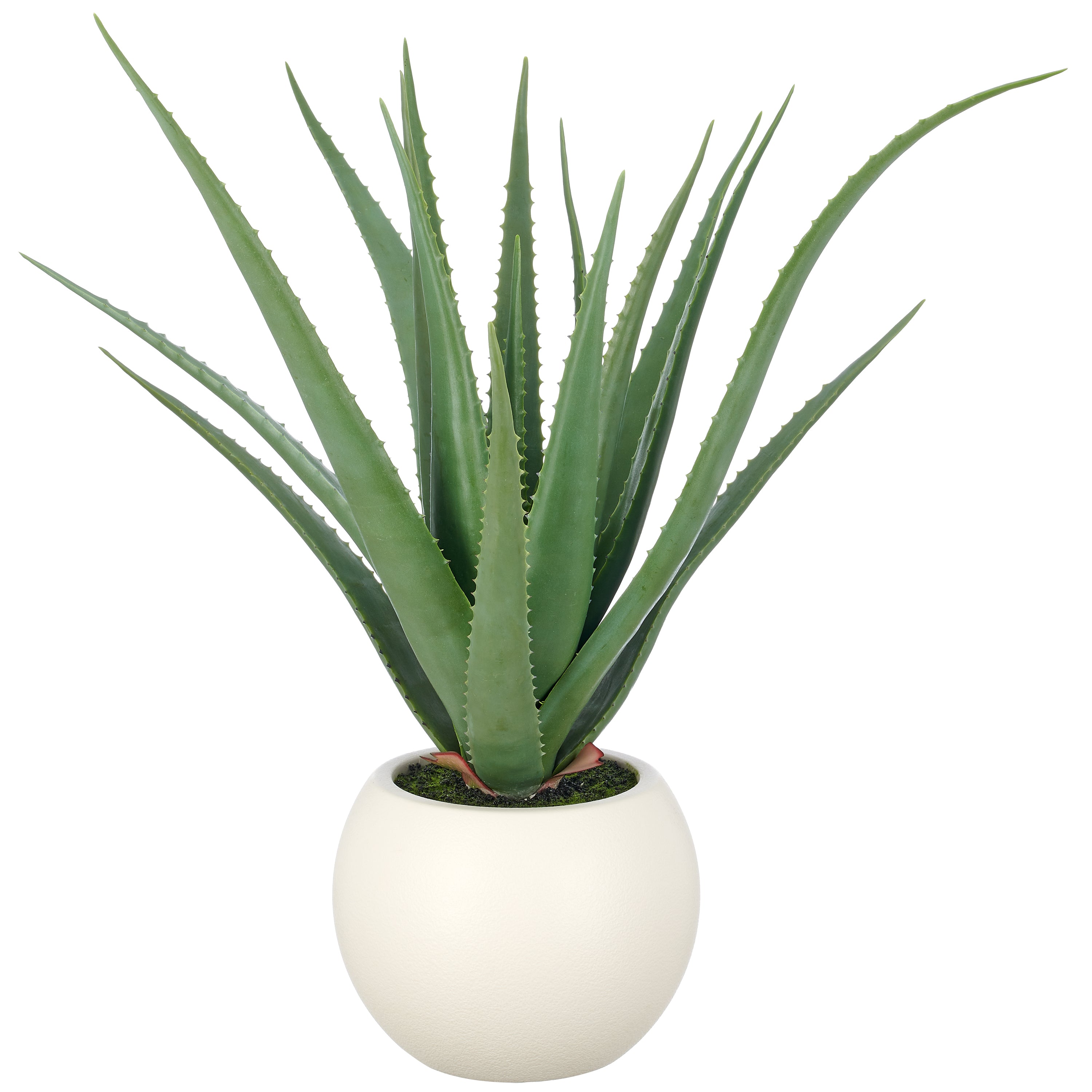 Aloe vera, 85cm, gruen, PU, im Kunststofftopf creme 27x21cm