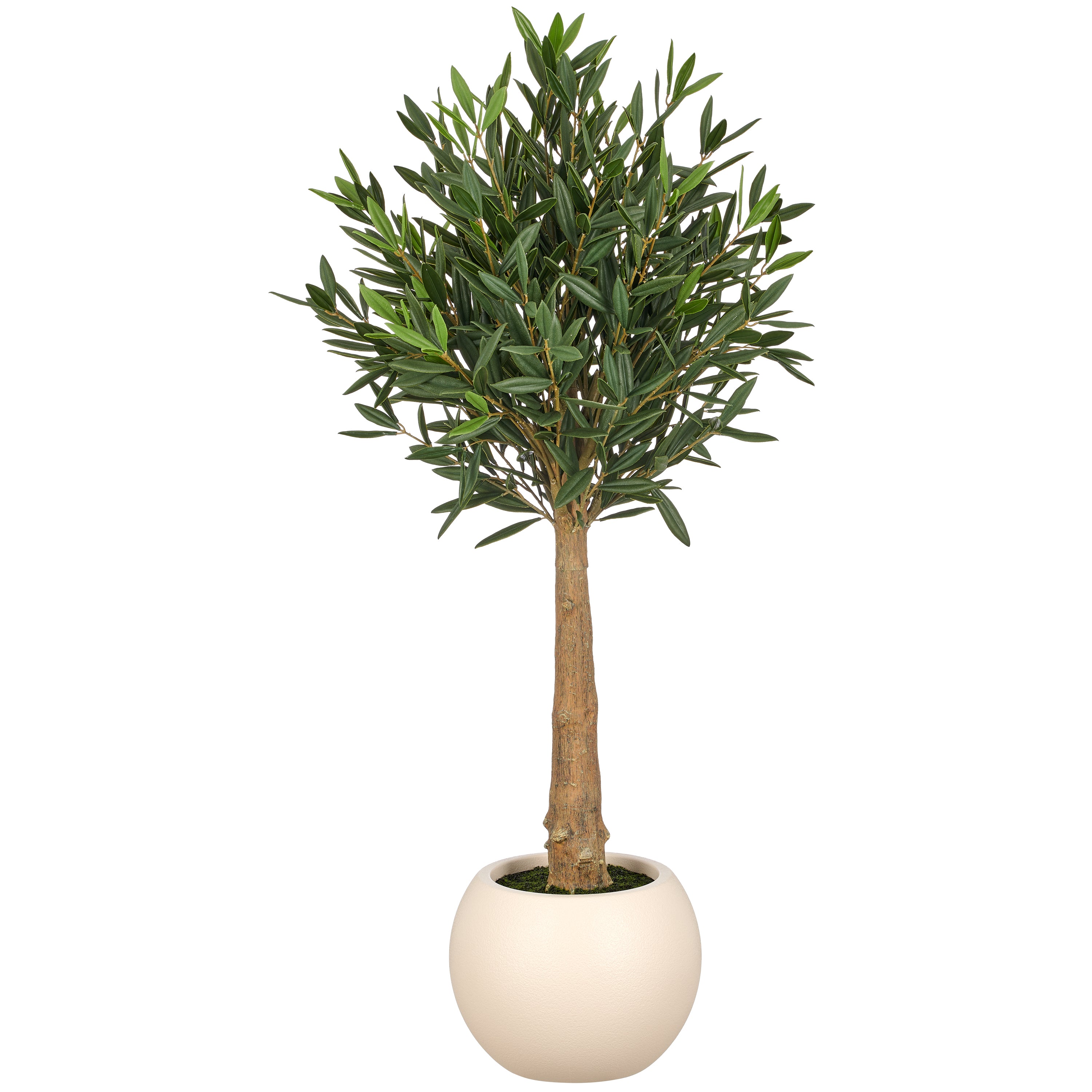 Olivenkugelbaum, 110cm, gruen, im Kunststofftopf creme 27x21cm