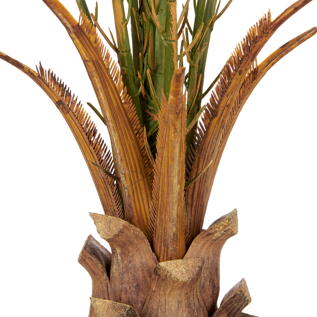 Phoenix roebelenii Palme x9, 90cm, gruen, im Kunststofftopf creme 27x21cm