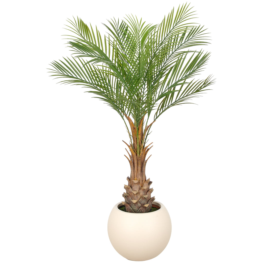 Phoenix roebelenii Palme x12, 125cm, gruen, im Kunststofftopf creme 33x26cm