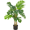 Split Philodendron x10, 90cm, gruen, im Kunststofftopf 15x13cm