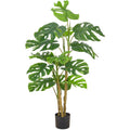 Split Philodendron x14, 120cm, gruen, im Kunststofftopf 15x13cm
