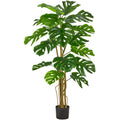 Split Philodendron x19, 150cm, gruen, im Kunststofftopf 17x14,5cm