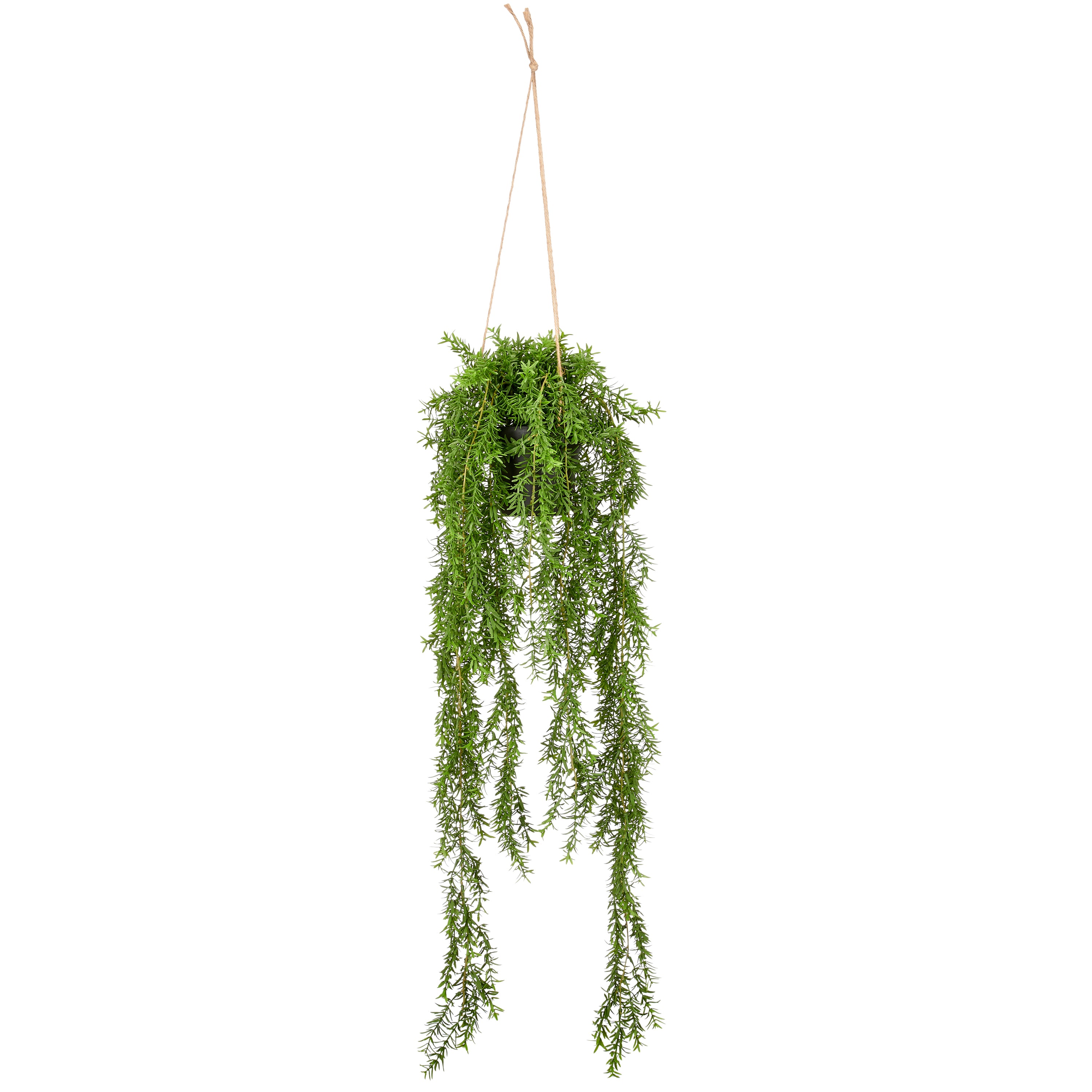 Aeschynanthus Haenger, 90cm, gruen, Kunststoff, in Kunststoffampel 12,5x11cm