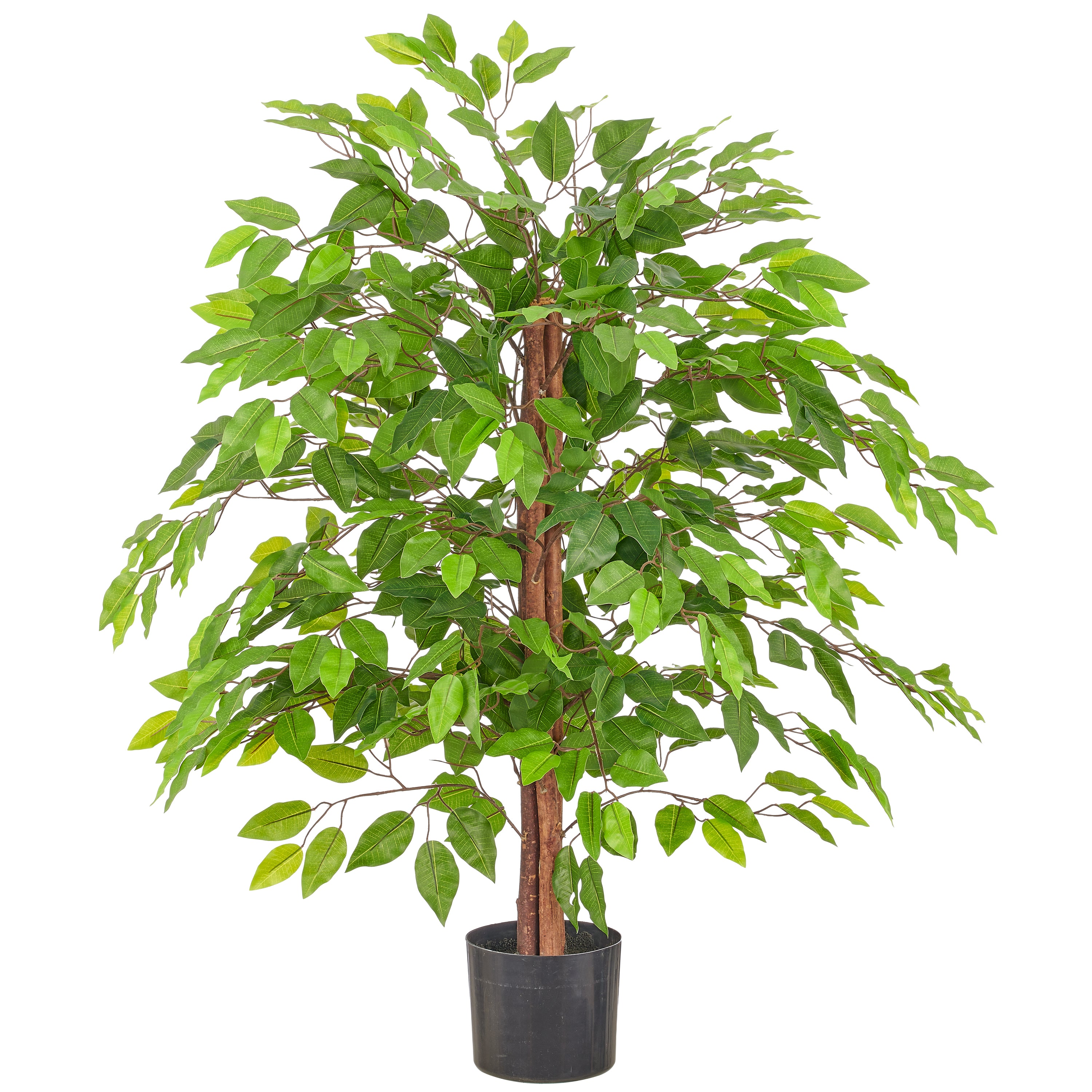 Ficus Benjamina, Naturstamm, 100cm, gruen, Kunststoff, im Kunststofftopf 15x13cm