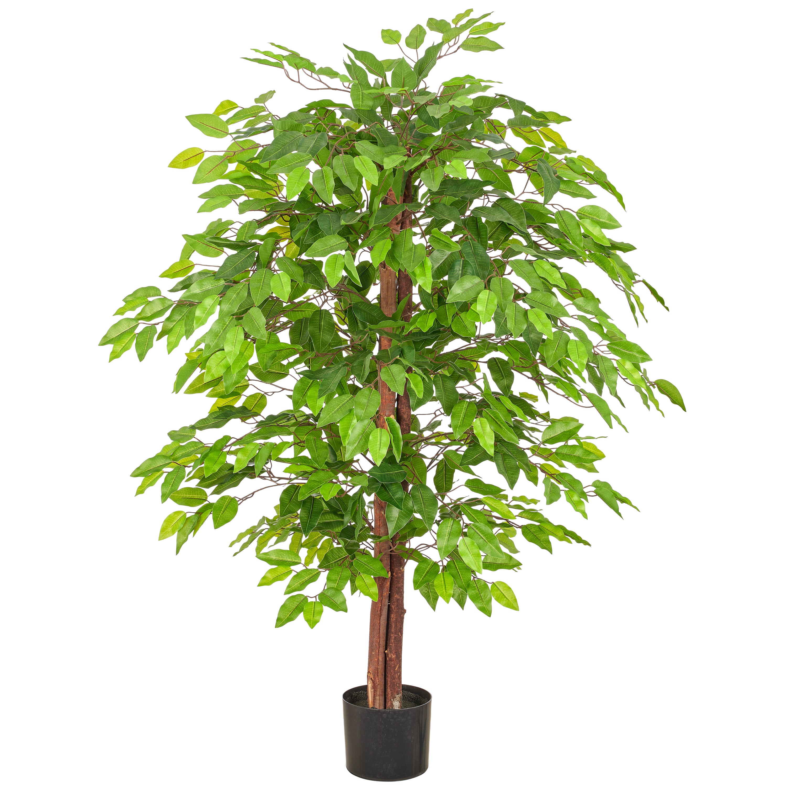 Ficus Benjamina, Naturstamm, 130cm, gruen, Kunststoff, im Kunststofftopf 15x13cm
