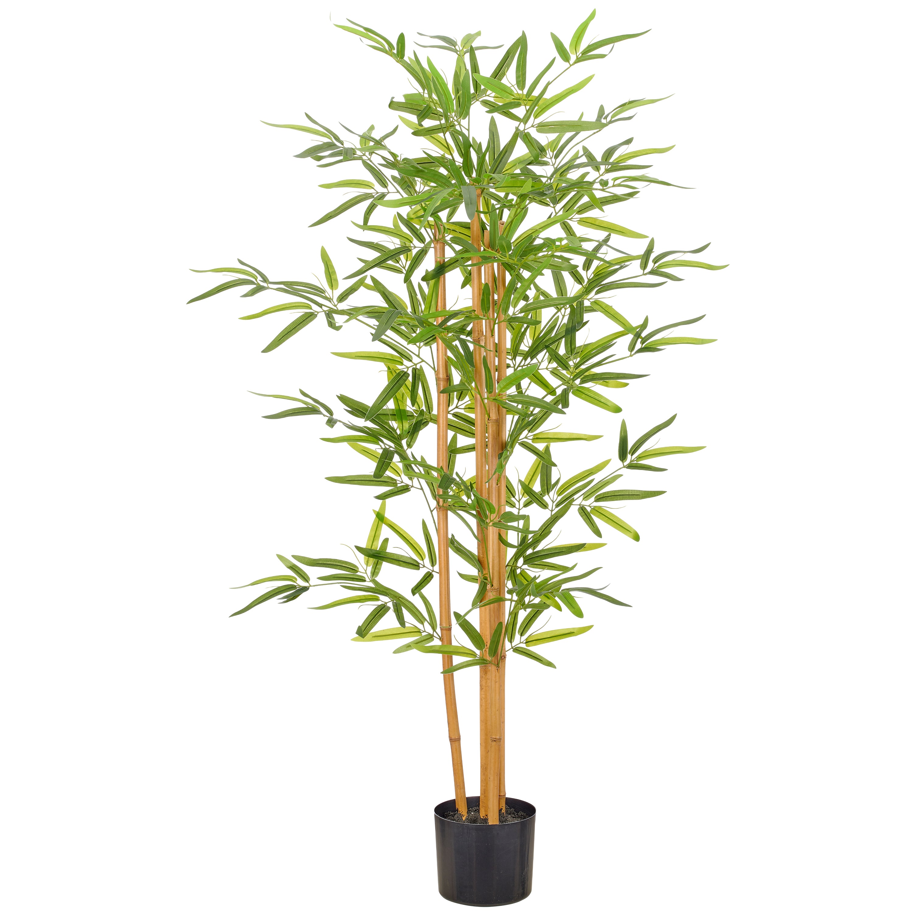 Bambus x4, Naturstamm, 125cm, gruen, Kunststoff, im Kunststofftopf 15x13cm