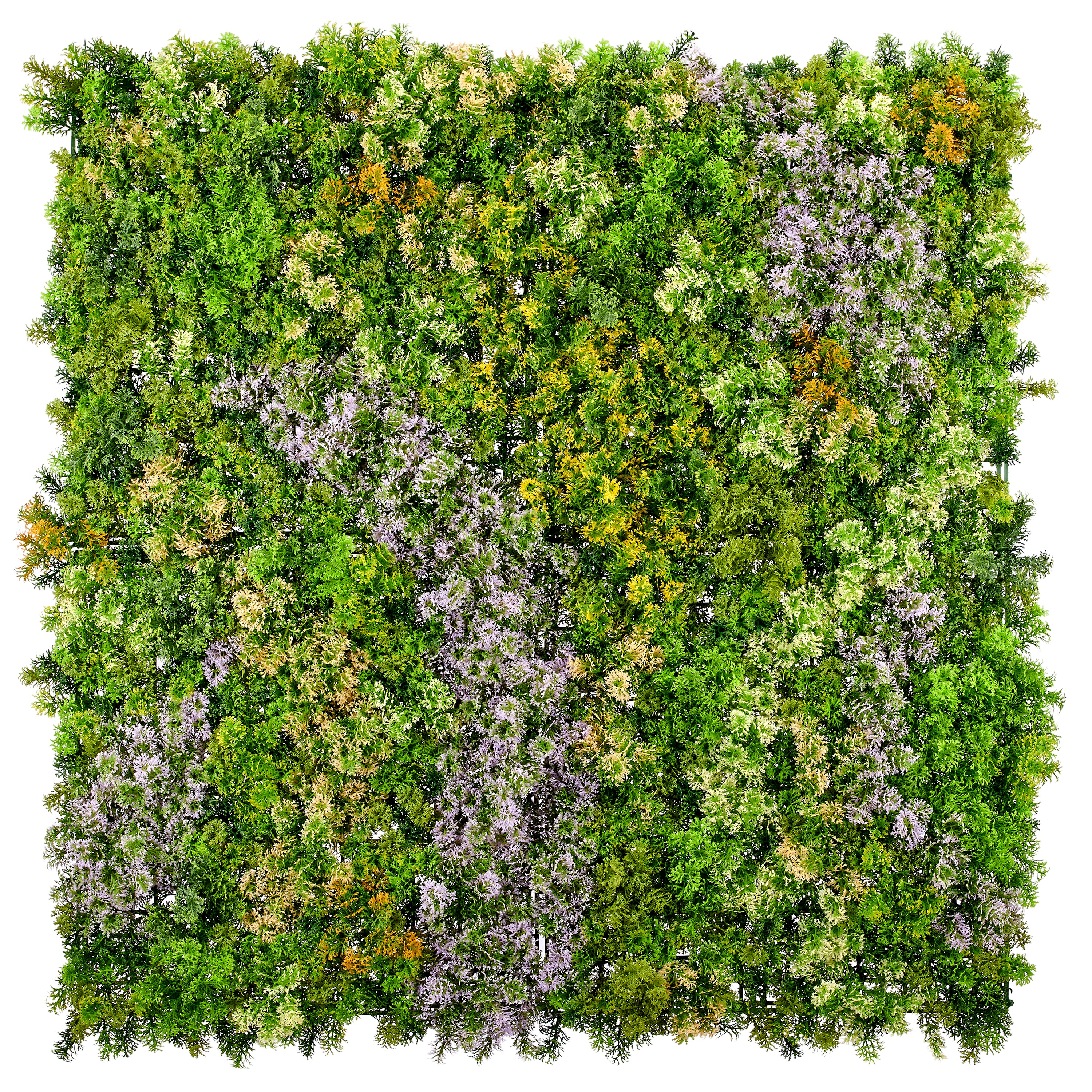 Wandmatte Selaginella mixed, 100x100cm, gruen, Kunststoff, UV-bestaendig