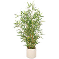 Bambus fargesia x5, 946 Bl., 100cm, gruen, im Kunststofftopf creme 18x18cm