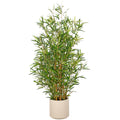 Bambus fargesia x7, 1978 Bl., 130cm, gruen, im Kunststofftopf creme 22x21,5cm