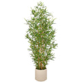 Bambus fargesia x9, 2752 Bl., 170cm, gruen, im Kunststofftopf creme 27x26,5cm