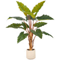 Taro Pflanze, 14 Bl., 130cm, gruen, im Kunststofftopf creme 22x21,5cm