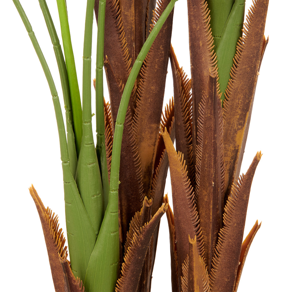 Areca Palme x3, 21 Bl., 150cm, gruen, im Kunststofftopf 18x14cm