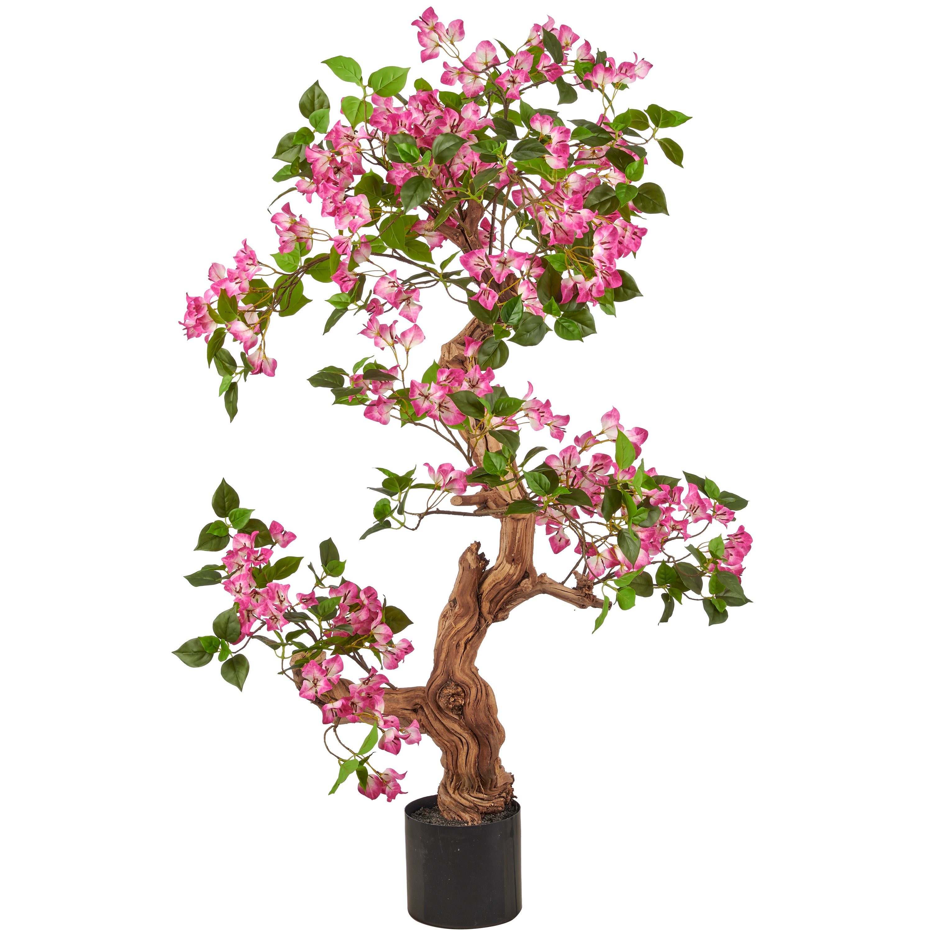 Bougainvillea, Naturstamm, 130cm, mauve, im Kunststofftopf 18x16cm