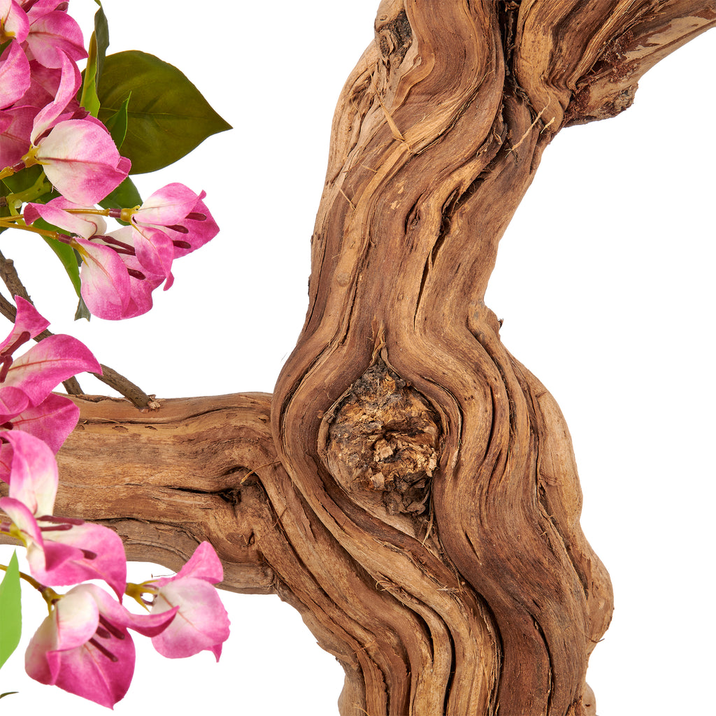 Bougainvillea, Naturstamm, 130cm, mauve, im Kunststofftopf 18x16cm