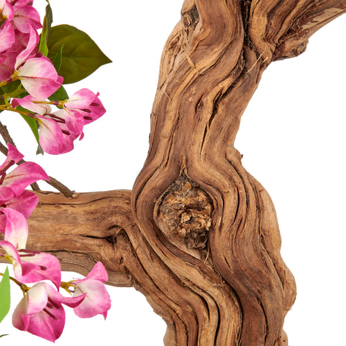 Bougainvillea, Naturstamm, 130cm, mauve, im Kunststofftopf 18x16cm
