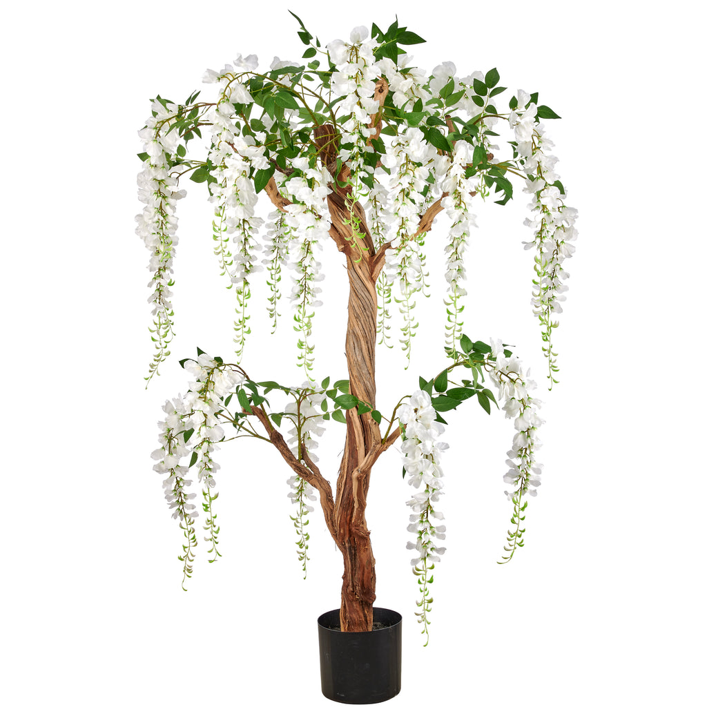 Wisteria sinensis ALBA, 160cm, weiss, im Kunststofftopf 20,5x18,5cm